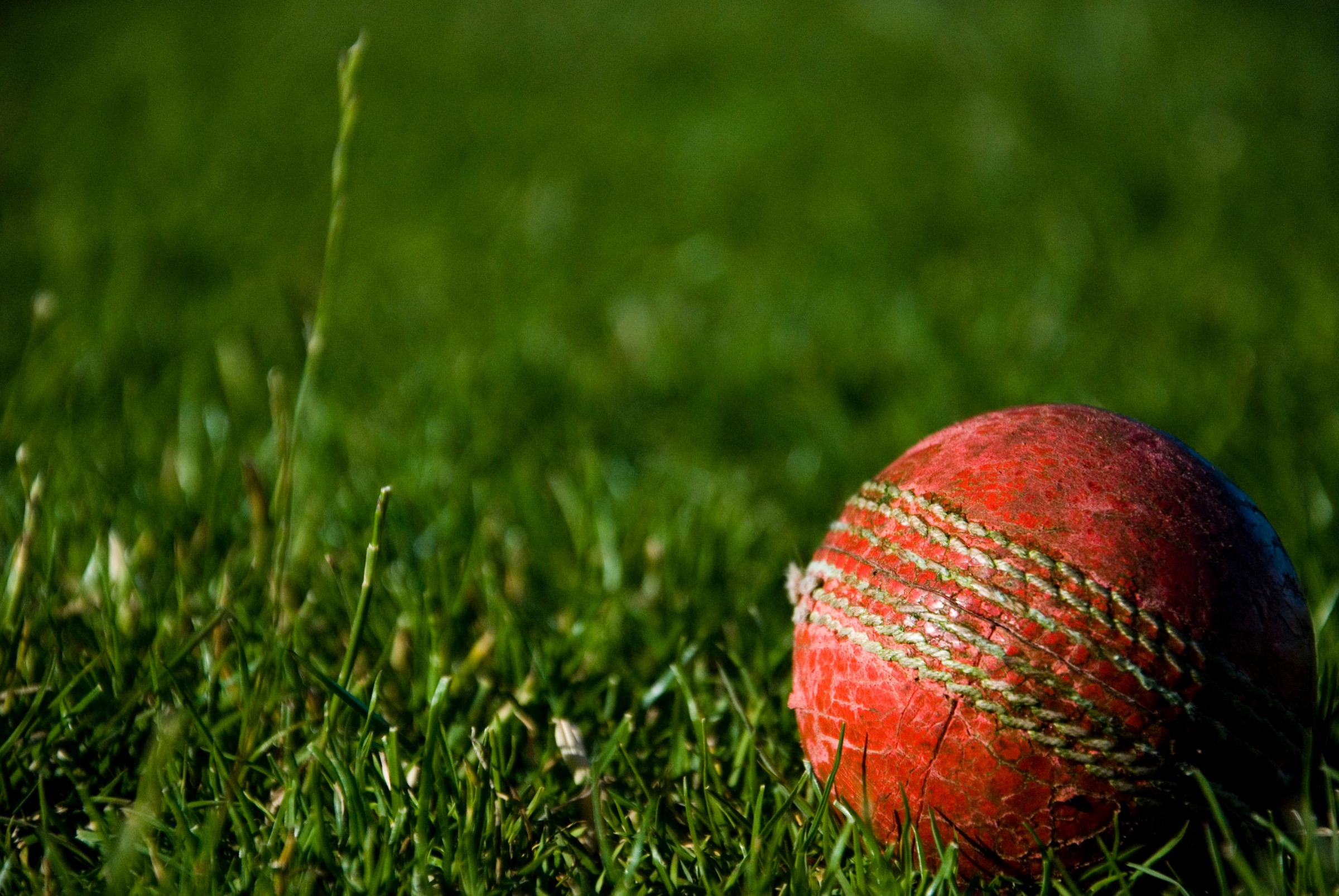 Cricket ball on the oval