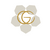 San Antonio Gardenia Fine Arts Club logo